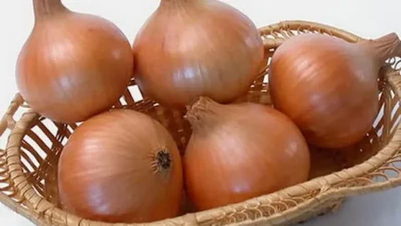 تصویر 4 از پیاز زرد کم بو با رنگ ملایم و عطر خوش
